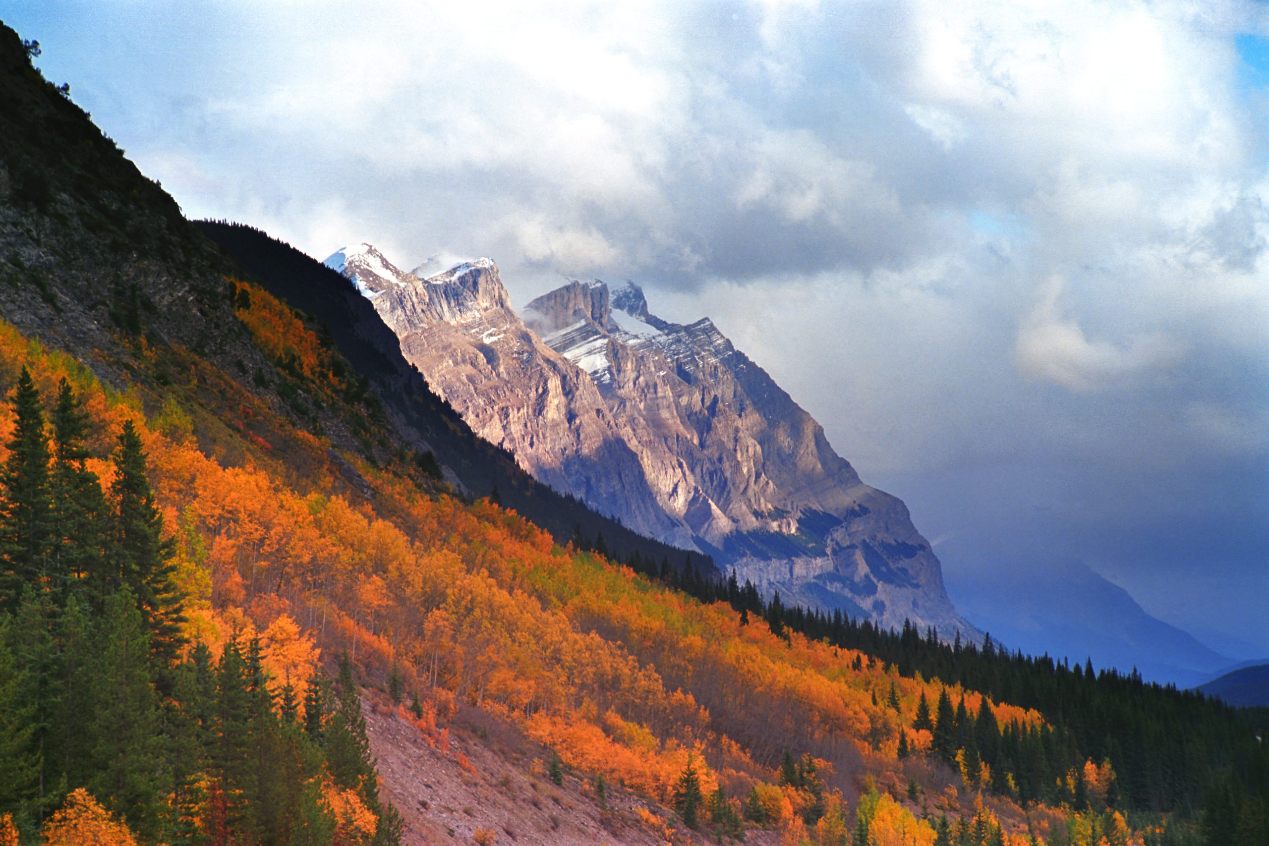 Alberta mountains - environmental protection