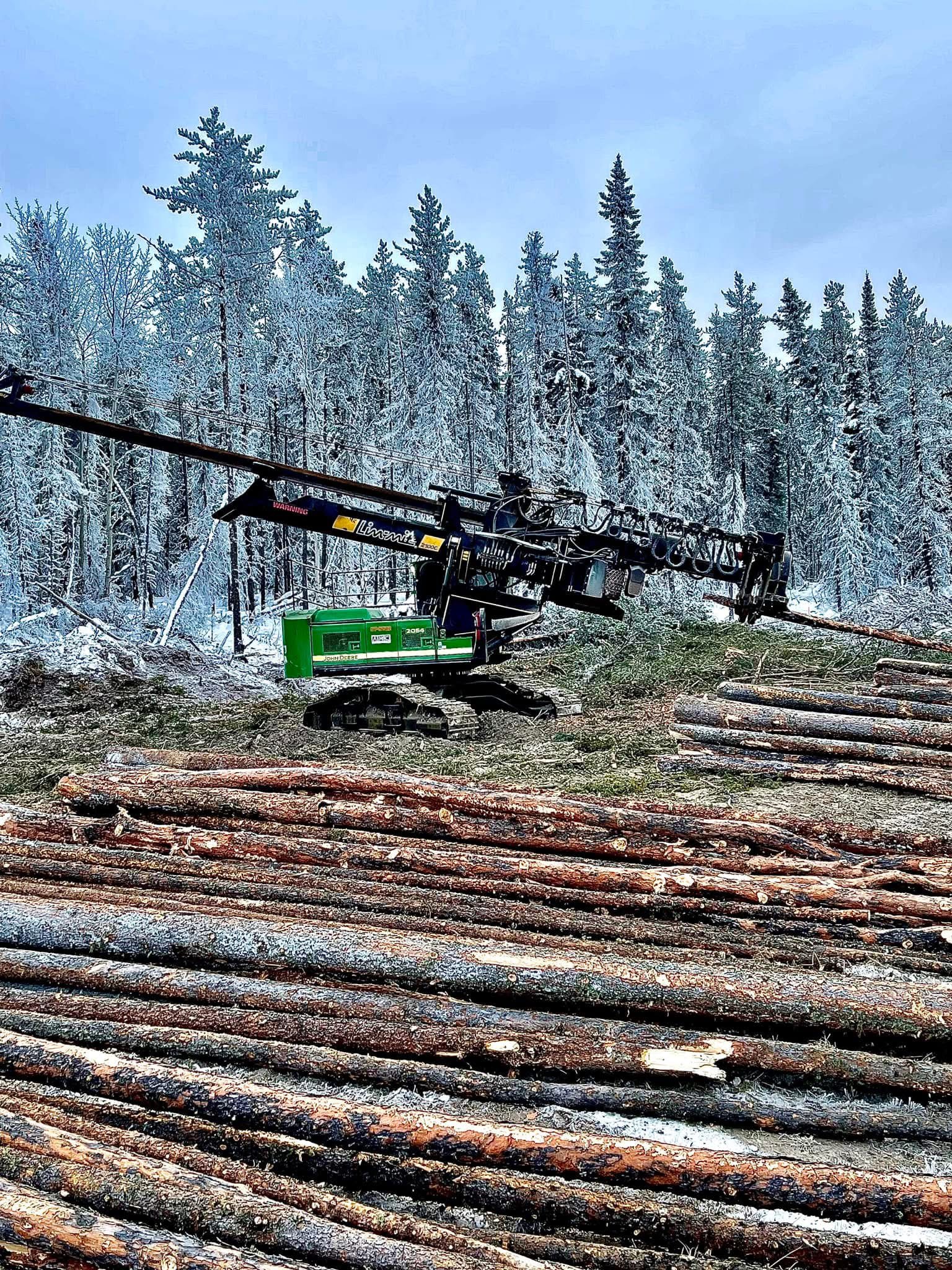 tree clearing service