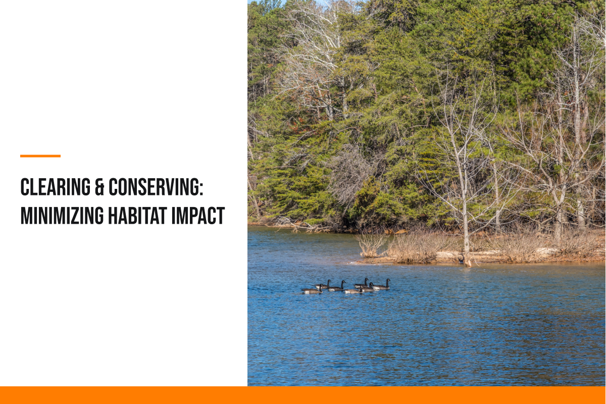 Ducks swim through water next to a beautiful glade. AMC is ready to make sure that the environment around you is preserved no matter the project.